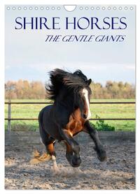 Shire Horses The Gentle Giants (Wall Calendar 2026 DIN A4 portrait), CALVENDO 12 Month Wall Calendar