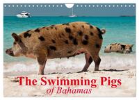The Swimming Pigs of Bahamas (Wall Calendar 2026 DIN A4 landscape), CALVENDO 12 Month Wall Calendar
