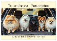 Tausendsassa - Pomeranian (Wandkalender 2026 DIN A3 quer), CALVENDO Monatskalender