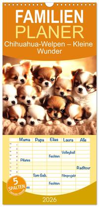 Familienplaner 2026 - Chihuahua-Welpen – Kleine Wunder mit 5 Spalten (Wandkalender, 21 x 45 cm) CALVENDO