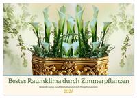 Bestes Raumklima durch Zimmerpflanzen (Wandkalender 2026 DIN A2 quer), CALVENDO Monatskalender