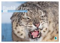 Raubkatzen: Geschmeidige Jäger (Tischkalender 2026 DIN A5 quer), CALVENDO Monatskalender