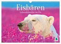 Eisbären: Lebenskünstler im Eis (Wandkalender 2026 DIN A3 quer), CALVENDO Monatskalender