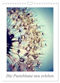 Die Pusteblume neu erleben (Wandkalender 2026 DIN A4 hoch), CALVENDO Monatskalender
