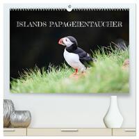 Islands Papageientaucher (hochwertiger Premium Wandkalender 2026 DIN A2 quer), Kunstdruck in Hochglanz