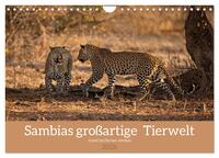 Sambias großartige Tierwelt (Wandkalender 2026 DIN A4 quer), CALVENDO Monatskalender