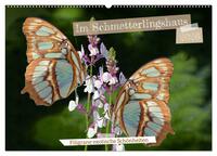 Im Schmetterlingshaus (Wandkalender 2026 DIN A2 quer), CALVENDO Monatskalender