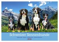 Schweizer Sennenhunde - Appenzeller - Berner - Entlebucher - Große Schweizer (Wandkalender 2026 DIN A2 quer), CALVENDO Monatskalender