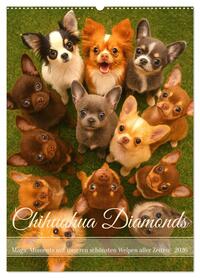 Chihuahua Diamonds – Magic Moments mit unseren schönsten Welpen aller Zeiten (Wandkalender 2026 DIN A2 hoch), CALVENDO Monatskalender