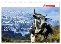 Pustertaler Sprinzen und Schecken 2026 (Wandkalender 2026 DIN A3 quer), CALVENDO Monatskalender