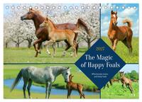 The Magic of Happy Foals (Desk Calendar 2027 DIN A5 landscape), CALVENDO 12 Month DeskCalendar