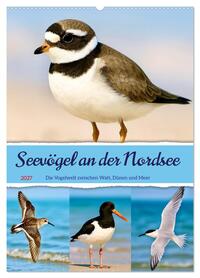 Seevögel an der Nordsee (Wandkalender 2027 DIN A2 hoch), CALVENDO Monatskalender