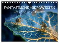 Fantastische Mikrowelten. Im Reich der Nanogärtner (Wandkalender 2027 DIN A4 quer), CALVENDO Monatskalender