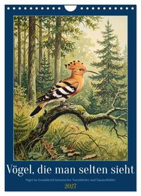 Vögel, die man selten sieht (Wandkalender 2027 DIN A4 hoch), CALVENDO Monatskalender