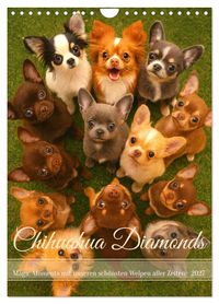 Chihuahua Diamonds – Magic Moments mit unseren schönsten Welpen aller Zeiten (Wandkalender 2027 DIN A4 hoch), CALVENDO Monatskalender