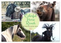 Colorful Horse Ranch – Wo Tinker posen und Ponys lächeln (Tischkalender 2027 DIN A5 quer), CALVENDO Monatskalender