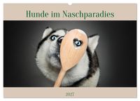 Hunde im Naschparadies (Wandkalender 2027 DIN A2 quer), CALVENDO Monatskalender
