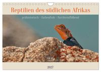 Reptilien des südlichen Afrikas (Wandkalender 2027 DIN A4 quer), CALVENDO Monatskalender