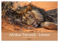 Afrikas Tierwelt - Löwen (Wandkalender 2027 DIN A3 quer), CALVENDO Monatskalender