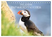 Islands Papageientaucher (Tischkalender 2027 DIN A5 quer), CALVENDO Monatskalender