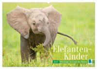Elefanten Kinder: Winzlinge im Land der Riesen (Wandkalender 2027 DIN A2 quer), CALVENDO Monatskalender