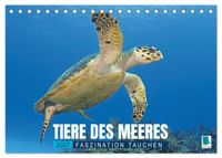 Tiere des Meeres: Faszination Tauchen (Tischkalender 2027 DIN A5 quer), CALVENDO Monatskalender