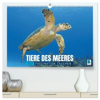Tiere des Meeres: Faszination Tauchen (hochwertiger Premium Wandkalender 2027 DIN A2 quer), Kunstdruck in Hochglanz