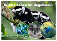 Wildes Leben im Regenwald (Tischkalender 2027 DIN A5 quer), CALVENDO Monatskalender