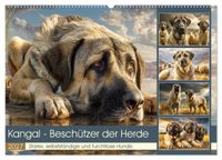 Kangal - Beschützer der Herde. Starke, selbstständige und furchtlose Hunde (Wandkalender 2027 DIN A2 quer), CALVENDO Monatskalender