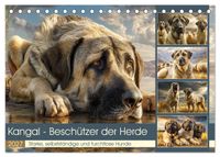 Kangal - Beschützer der Herde. Starke, selbstständige und furchtlose Hunde (Tischkalender 2027 DIN A5 quer), CALVENDO Monatskalender