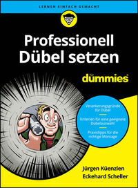 Professionell Dübel setzen für Dummies