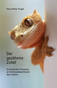 Der gezähmte Zufall