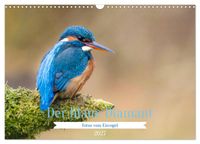 Der blaue Diamant - Fotos vom Eisvogel (Wandkalender 2027 DIN A3 quer), CALVENDO Monatskalender