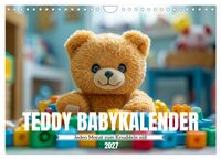 Teddy Babykalender - Jeden Monat zum Knuddeln süß (Wandkalender 2027 DIN A4 quer), CALVENDO Monatskalender