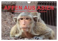 AFFEN AUS ASIEN Indonesien, Thailand, Indien (Wandkalender 2027 DIN A4 quer), CALVENDO Monatskalender
