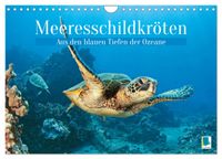 Meeresschildkröten: Aus den blauen Tiefen der Ozeane (Wandkalender 2027 DIN A4 quer), CALVENDO Monatskalender