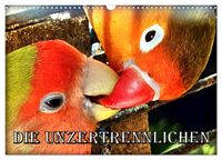 Die Unzertrennlichen (Wandkalender 2027 DIN A3 quer), CALVENDO Monatskalender