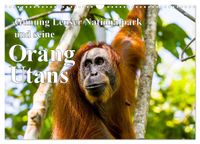 Gunung Leuser Nationalpark und seine Orang Utans (Wandkalender 2027 DIN A3 quer), CALVENDO Monatskalender
