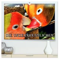 Die Unzertrennlichen (hochwertiger Premium Wandkalender 2027 DIN A2 quer), Kunstdruck in Hochglanz