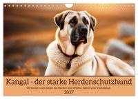 Kangal - der starke Herdenschutzhund (Wandkalender 2027 DIN A4 quer), CALVENDO Monatskalender