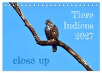 Tiere Indiens close up (Tischkalender 2027 DIN A5 quer), CALVENDO Monatskalender