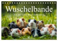 Wuschelbande - Ein Jahr voller Meerschweinchen (Tischkalender 2027 DIN A5 quer), CALVENDO Monatskalender