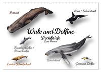 Wale und Delfine Steckbriefe (Wandkalender 2027 DIN A2 quer), CALVENDO Monatskalender