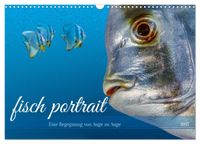 fisch portrait (Wandkalender 2027 DIN A3 quer), CALVENDO Monatskalender
