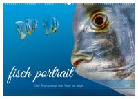 fisch portrait (Wandkalender 2027 DIN A2 quer), CALVENDO Monatskalender
