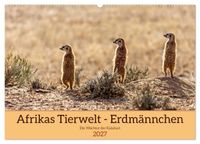 Afrikas Tierwelt - Erdmännchen (Wandkalender 2027 DIN A2 quer), CALVENDO Monatskalender