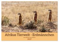 Afrikas Tierwelt - Erdmännchen (Tischkalender 2027 DIN A5 quer), CALVENDO Monatskalender