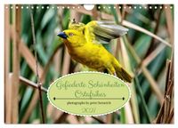 Gefiederte Schönheiten Ostafrikas (Wandkalender 2027 DIN A4 quer), CALVENDO Monatskalender