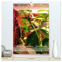 Fotoshooting mit einem Jemenchamäleon (hochwertiger Premium Wandkalender 2027 DIN A2 hoch), Kunstdruck in Hochglanz
