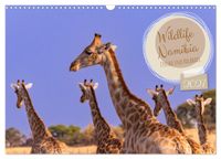 Wildlife Namibia - Etosha und Kalahari (Wandkalender 2027 DIN A3 quer), CALVENDO Monatskalender